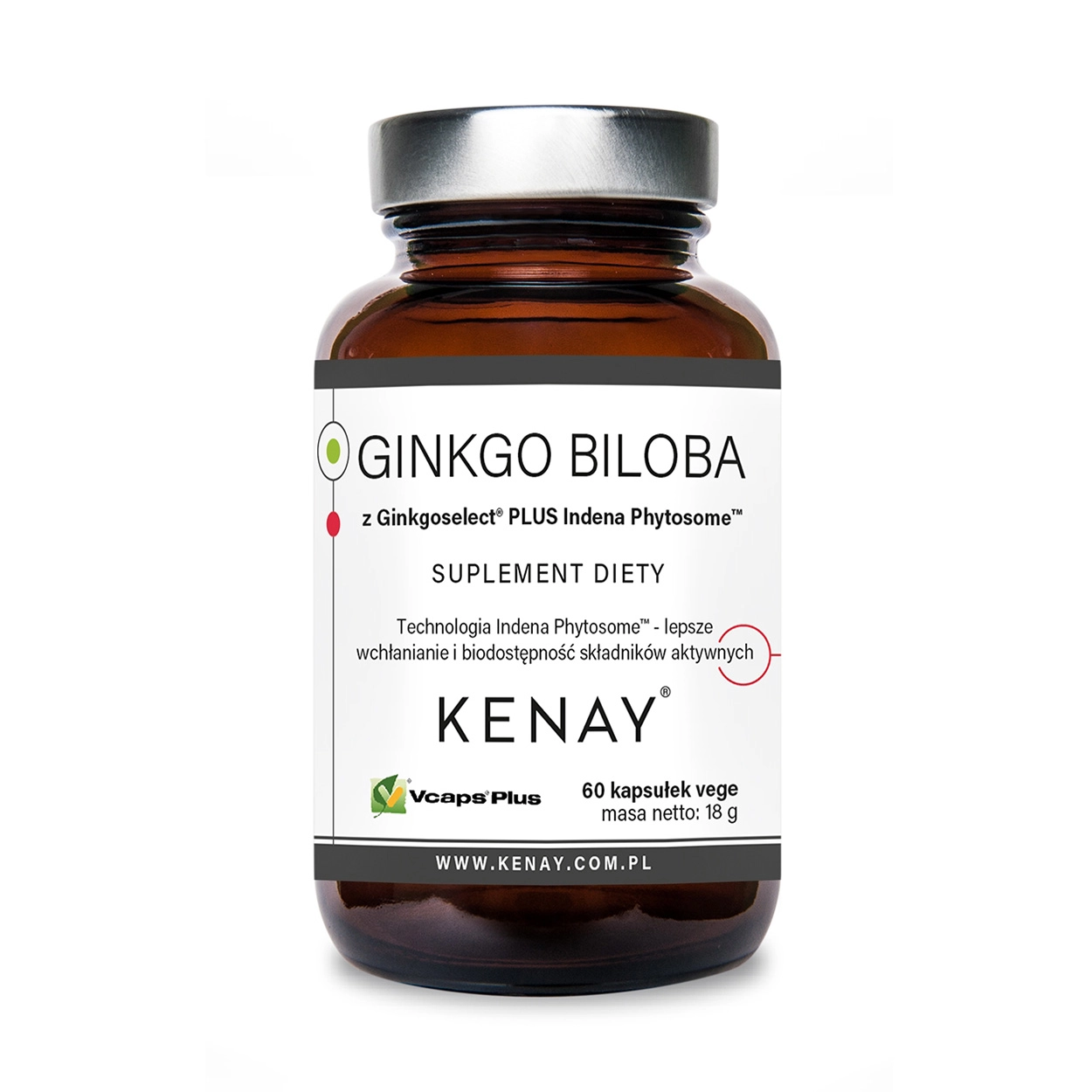 Ginkgo Biloba Ginkgoselect PLUS Phytosome 60 kaps – Kenay